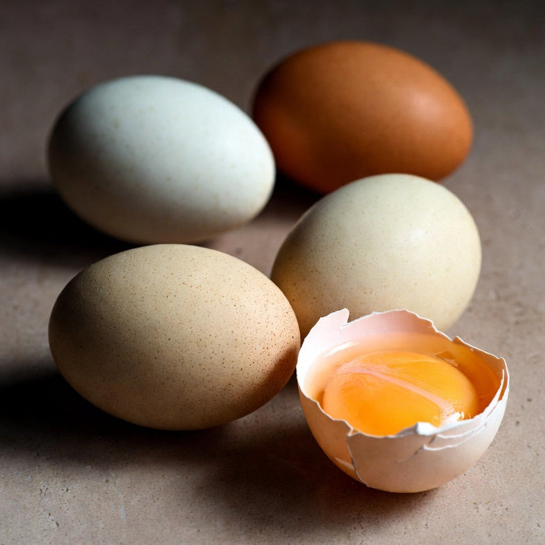 Duck Egg - Freeze-Dried