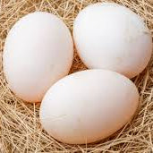 Duck Egg - Freeze-Dried