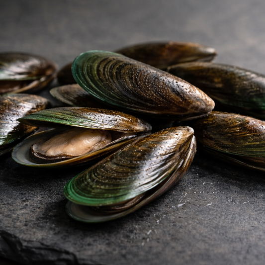 Green-Lipped Mussels